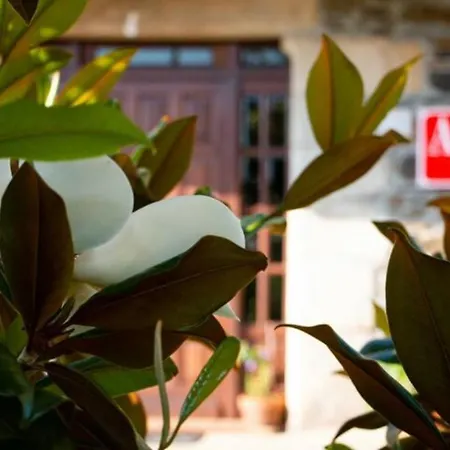 Vieiro Verde Апартаменты Vieiro