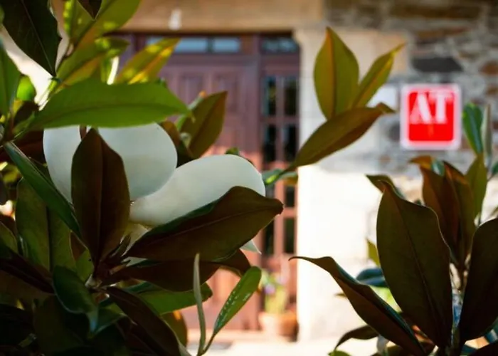 Vieiro Verde Апартаменты Vieiro