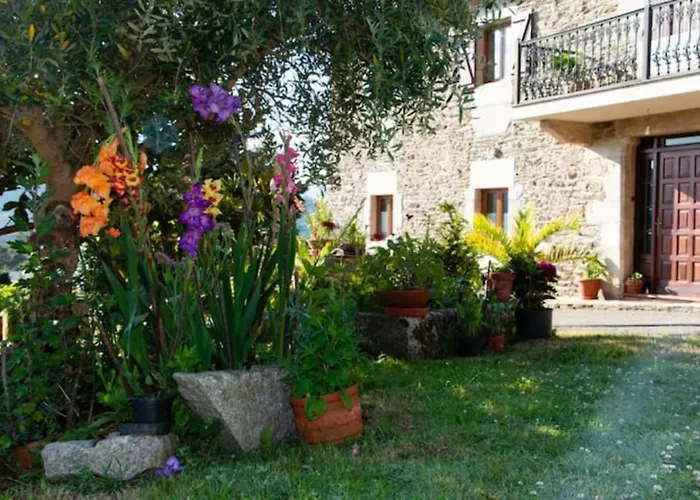 Vieiro Verde * Vieiro